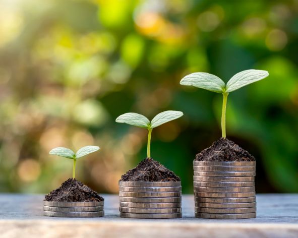 The Emergence of Green Sukuk: Financing Sustainability in Islamic Finance